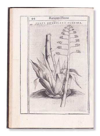 SCIENCE  ALDINI and CASTELLI. Exactissima descriptio rariorum quarundam plantarum, que continentur Rome in Horto Farnesiano.  1625